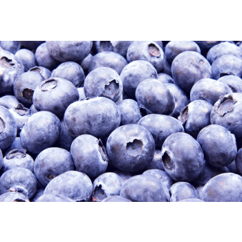 bilberry_1_1.jpg